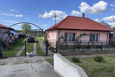 Casă cu 3 camere în Ardud - 5