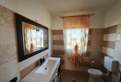 Casă cu 5 camere cu Teren 1792 Mp în Mitocu Dragomirnei