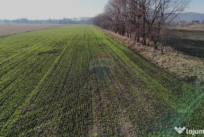 Teren de 15482 mp, în Hărman - 1