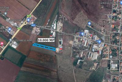 Teren de 10000 mp, în Livada - 2