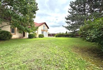 Individual villa with swimming pool Iancu Nicolae - 7