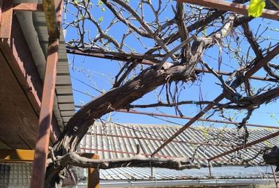 Casă cu 4 camere în Central - 3