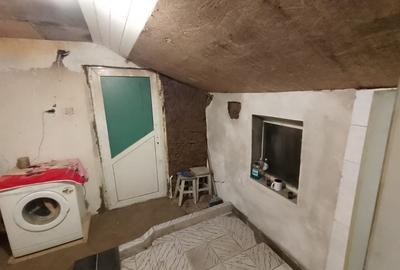 Casă cu 4 camere cu Teren 5000 Mp în Vâlcele - 3