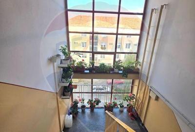 Apartament doua camere vis a vis de Vila Flora Medias - 14