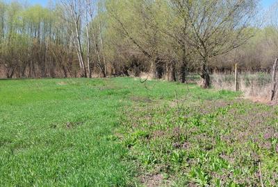 Teren Construcții intravilan de 3200 mp, în Măstăcani - 3