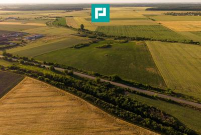 Teren agricol extravilan de 42200 mp, în Secusigiu - 6
