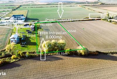 Teren de 8000 mp, în Botiz - 9
