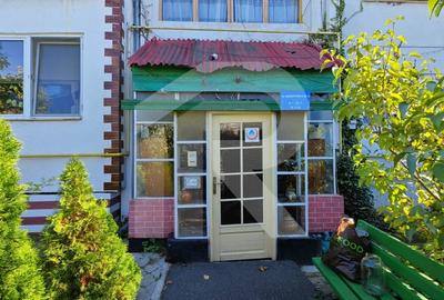 Vila Gabriela Otopeni - 5