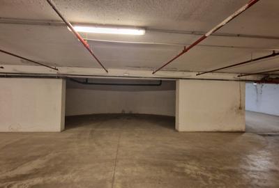 Proprietate specială, de 15 mp, în Theodor Pallady - 1