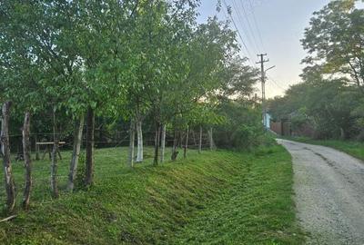 Teren de 950 mp, în Topârcea - 2