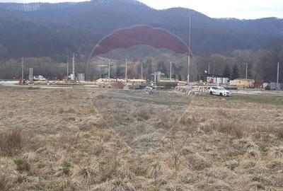 Teren agricol extravilan de 7153 mp, în Sud