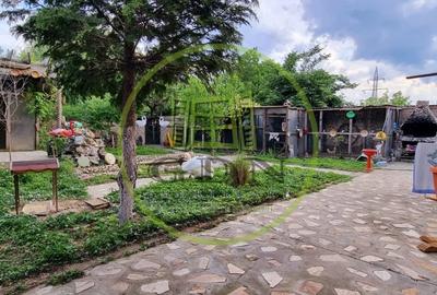 Casă individuală cu 4 camere cu Piscina în Bariera Vâlcii - 7