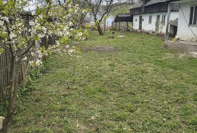 Casă cu Teren 1373 Mp în Prăjoaia - 2