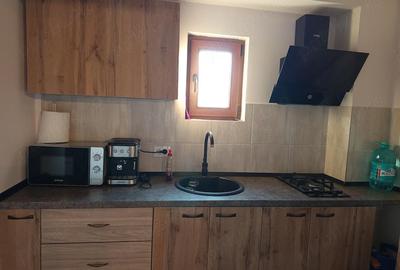 Casă cu 4 camere cu Teren 6240 Mp în Valea Mare - 2