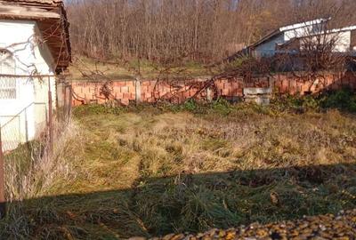 Casă cu 2 camere cu Teren 3754 Mp în Costișa - 2