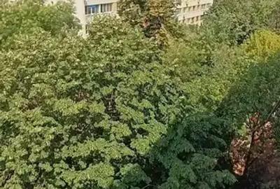 Apartament de Vanzare Doamna Ghica Parc-Ion Berindei RATB - 13