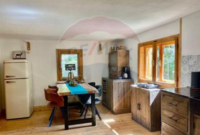 Casa de vacanta la munte de vanzare - 11