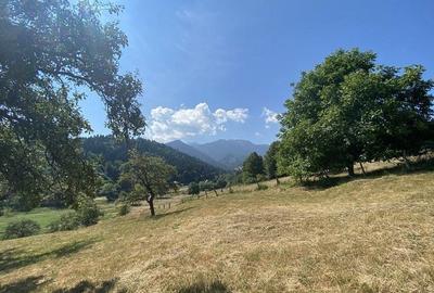 Teren extravilan de vanzare in Rasnov | 6.070 mp | Vedere panoramica - 6
