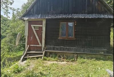 Casă cu Teren 1389 Mp în Vale - 1