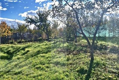Casa batraneasca cu teren generos, in satul Manastireni – liniste si natura - 5