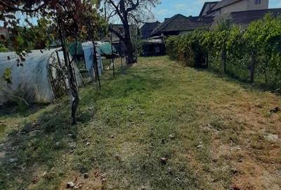 De vanzare casa, curte ?i gradina in Ora?tie De vanzare casa, curte ?i gradina in Ora?tie - 8