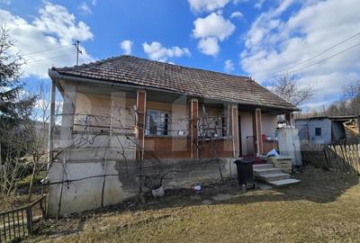 Casa cu farmec rustic, teren de 4887 mp - 6
