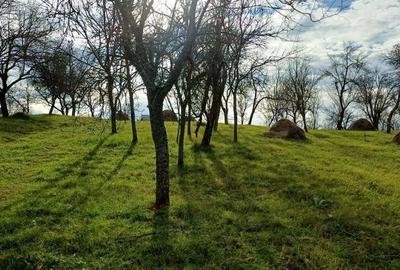 Teren de 4000 mp, în Cuieș - 1
