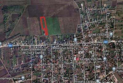 Teren de 10000 mp, în Cazasu - 2