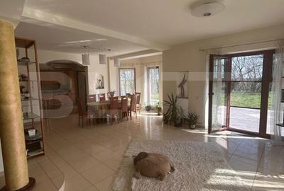 Casă cu 6 camere cu Teren 3982 Mp în Remetea Mare - 10