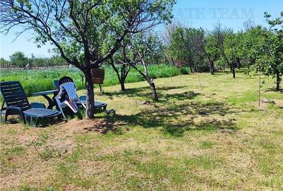 Casă individuală cu 5 camere cu Canalizare în Cornetu - 5