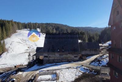 Refugiu Natural: Casa si Teren Inconjurat de Padure ! - 4