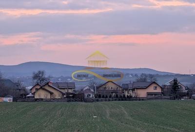 Spațiu comercial, în Lilieci