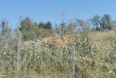 De vanzare casa si grajd +3000m2 teren livada in Sumurducu - Sanpaul - 10