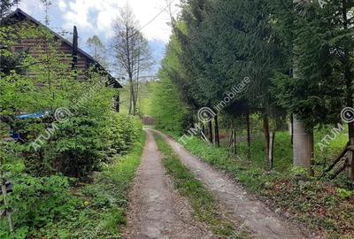 Teren intravilan 800 mp pe Valea Avrigului in apropierea raului Avrig - 2