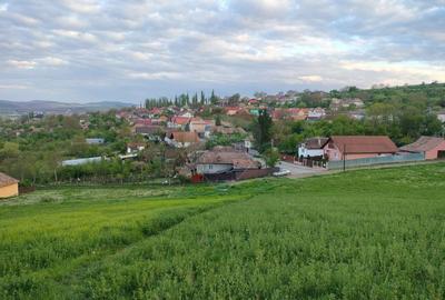 Teren de 2983 mp, în Central - 1