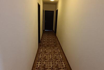 Vila pe strada Vasile Lupu - Ultracentral - 11
