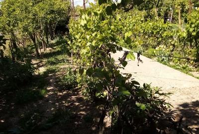 Casa de vanzare in Zorleni - 4