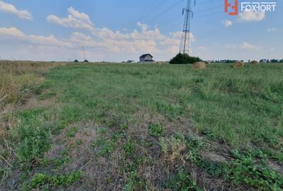 Teren Construcții intravilan de 622 mp, în Chișoda - 11