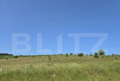 Teren de 1100 mp, în Sălicea - 3