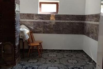Casă cu 2 camere în Gladna Română - 14