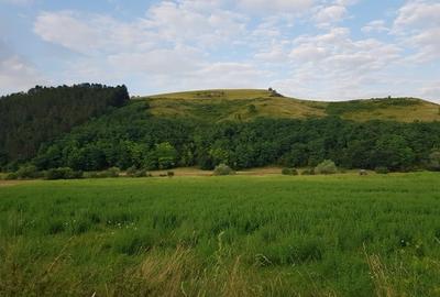 Exclusivitate! Teren intravilan in Luna de sus! - 1