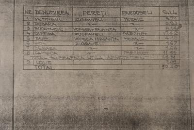 Apartament cu 2 camere semidecomandat în Dristor - 8