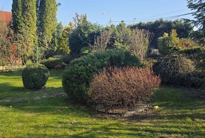 Casă cu 3 camere în Europa - 4