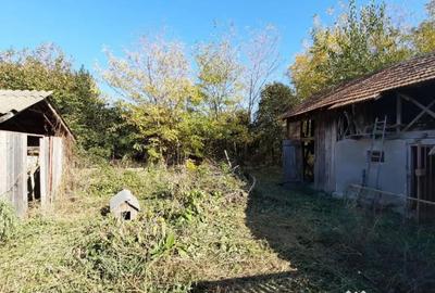 Casă cu 4 camere cu Teren 7720 Mp în Brătești - 17