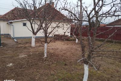 Casă cu 2 camere cu Teren 1160 Mp în Central - 6