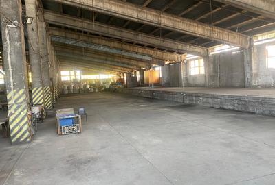 Închiriez hală industrială Danubiana - 9