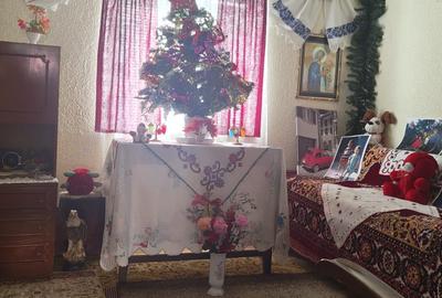 Casă individuală cu 8 camere cu Teren 8000 Mp în Bușca - 8