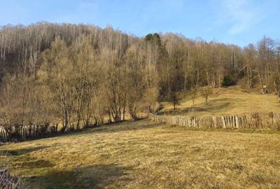 Teren de 767 mp, în Exterior Vest - 4