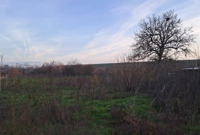 Teren în Cornetu - 1