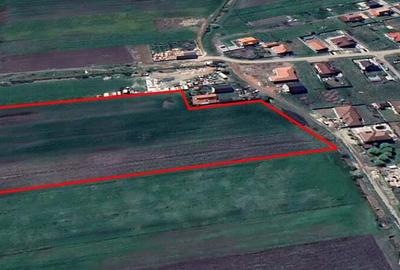 1,4 hectare teren de vanzare in Livada Arad - 2